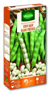 Haricot Nain à Ecosser Coco Blanc Précoce 